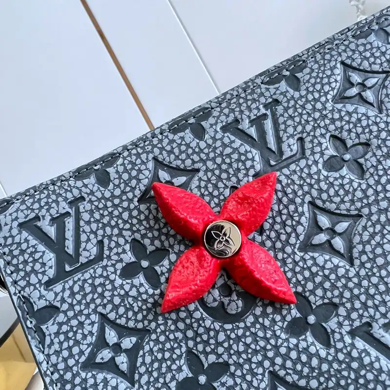 LV Bag 2210YA0110
