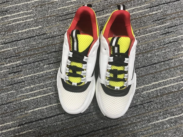 Dior B Efficient 1299