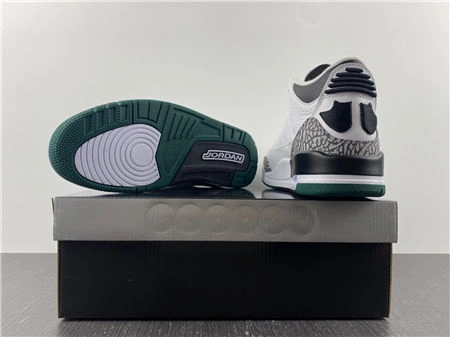 Jordan 3 Retro Oregon Ducks Pit Crew White EasyCare 3831