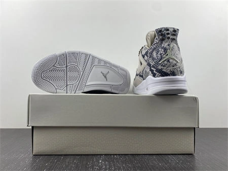 WellDesigned Jordan 4 Retro 813191- 3934