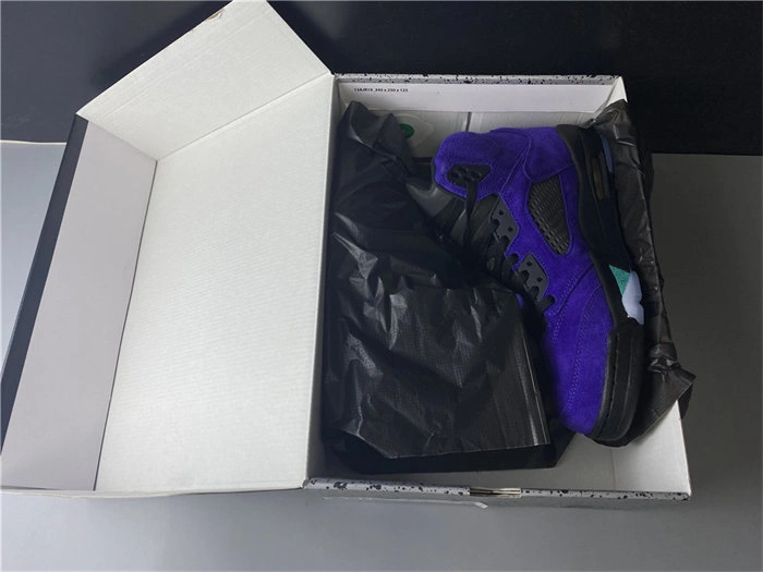 Jordan5 Alternate Graape 136027- TimelessDesign 4020