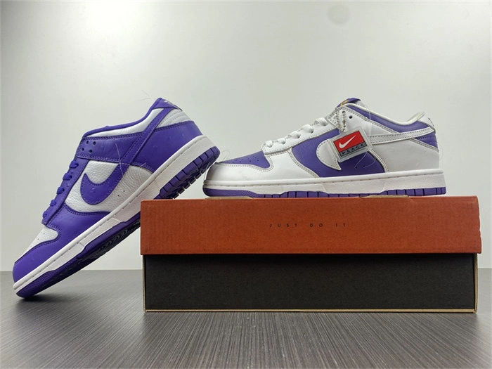 Colorful Nike Dunk Low Flip the Old School DJ4636- 4741