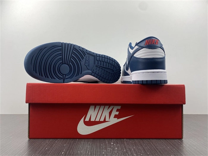 Nike Dunk Low Valerian Blue DD1391- Practical 4819