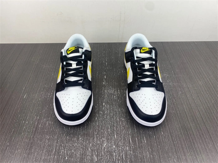 Lightweight Nike SB Dunk Scrap LowWolf Grey FQ2431- 4622